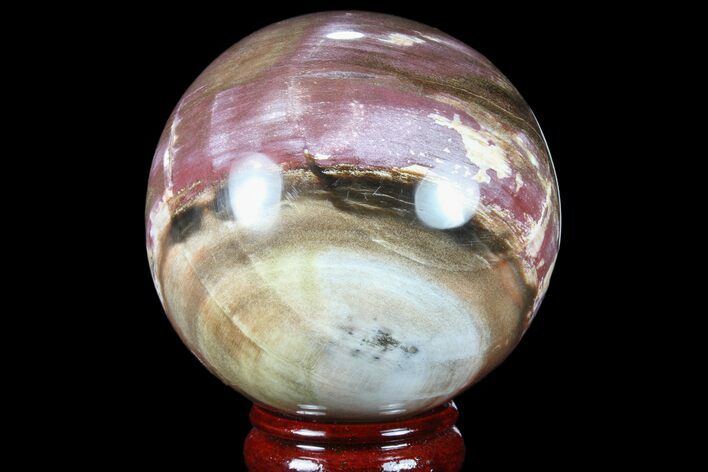 Colorful Petrified Wood Sphere - Madagascar #81546